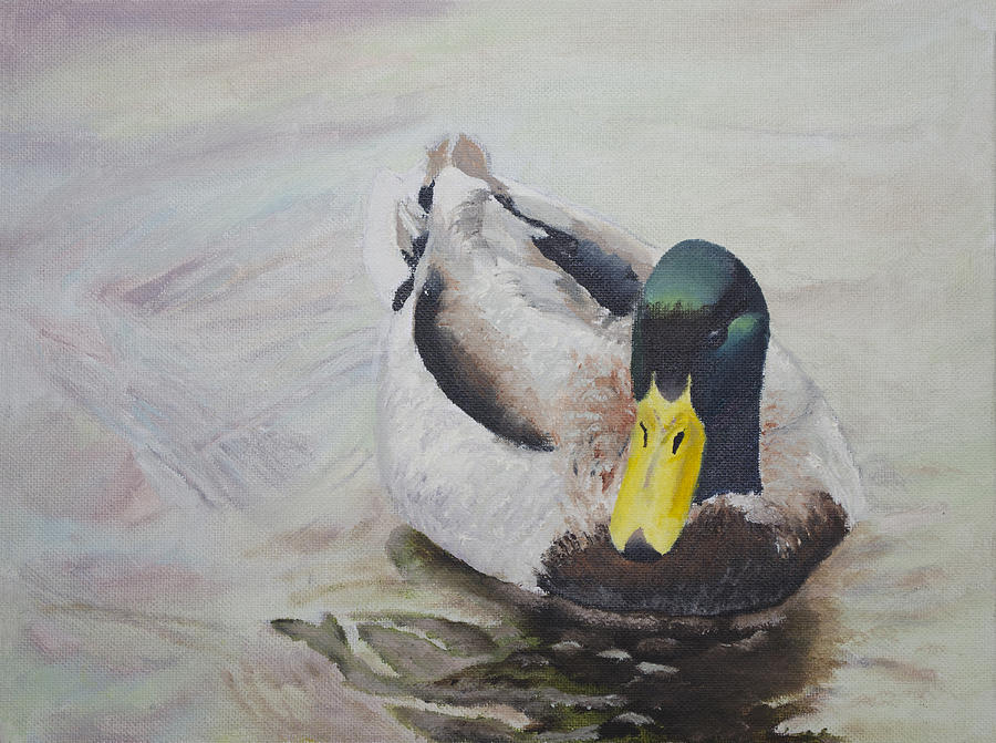 Duck - Lake - Peaceful Mallard Painting by Haley Mueller - Pixels