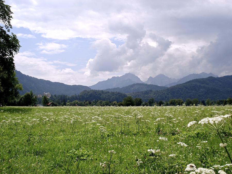 Peaceful meadow escape прохождение