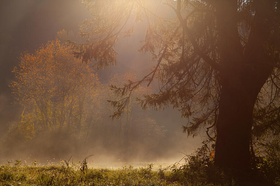 Fall Photograph - Peaceful Moments by Karol Livote