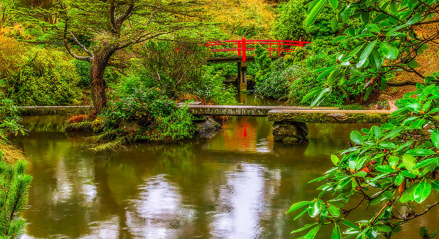 Peaceful Morning at Kubota Gardens Photograph by Ken Stanback