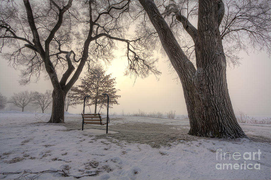 Peaceful Morning Fog at East Lake Photograph by Kari Yearous