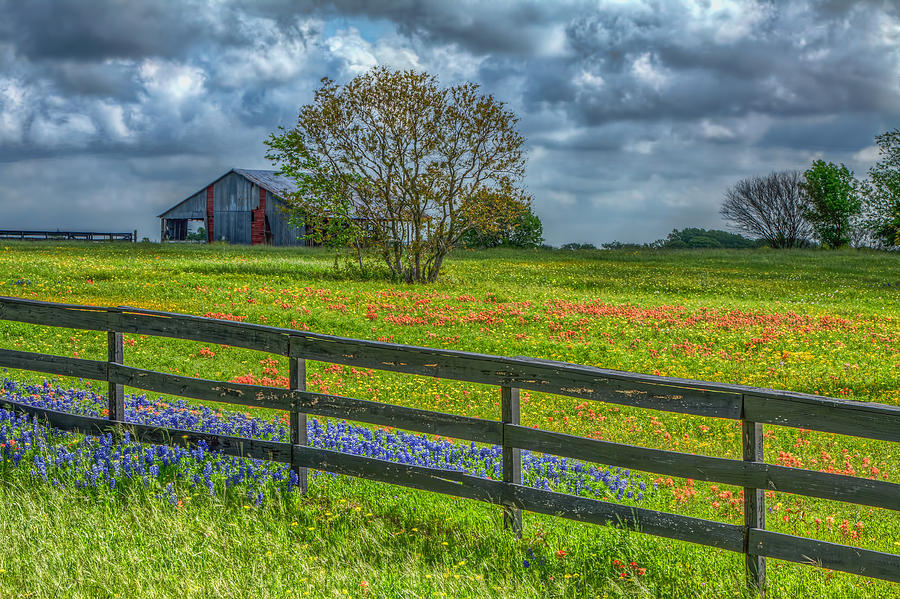 Spring Photograph - Peaceful Morning by Tom Weisbrook