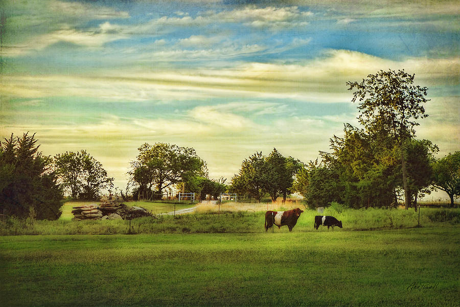 Peaceful Pasture - landscape  Photograph by Ann Powell