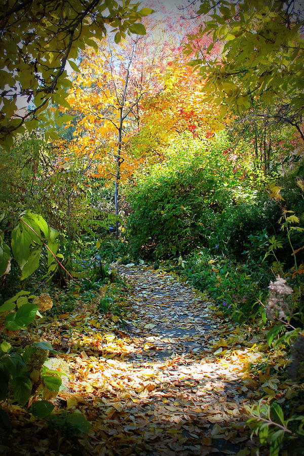 Fall Photograph - Peaceful Path by Kari Espeland