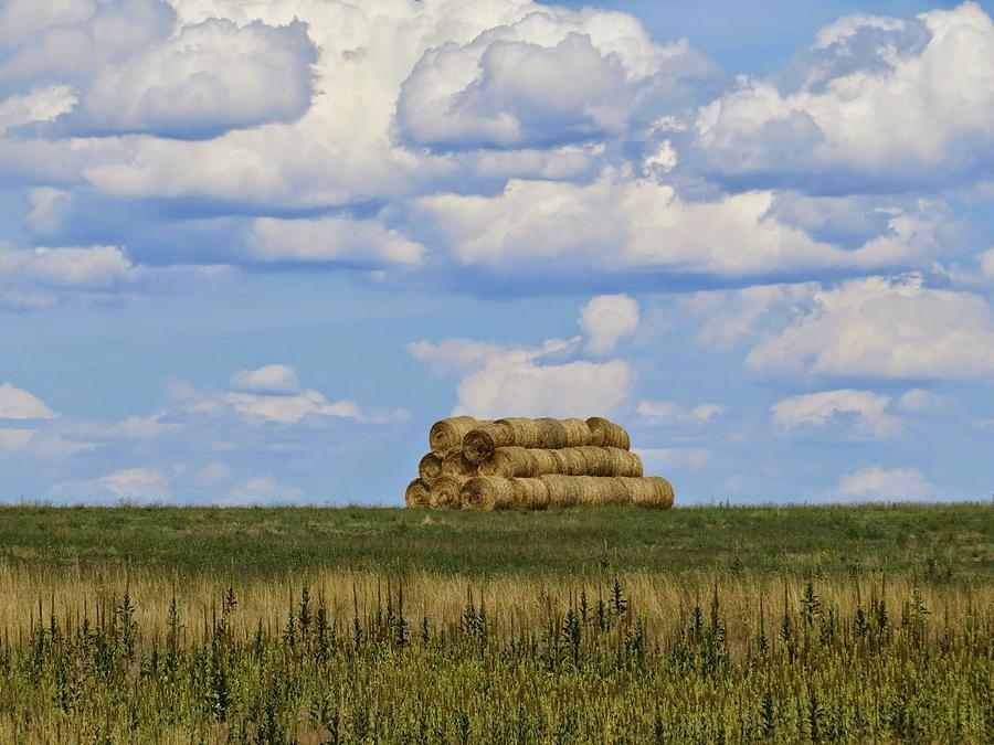 Landscape Photograph - Peaceful Prairie by Emily Hargreaves