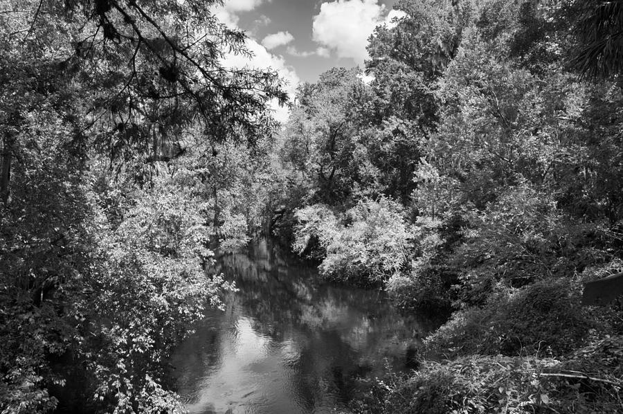 Peaceful River Photograph by Carolyn Marshall