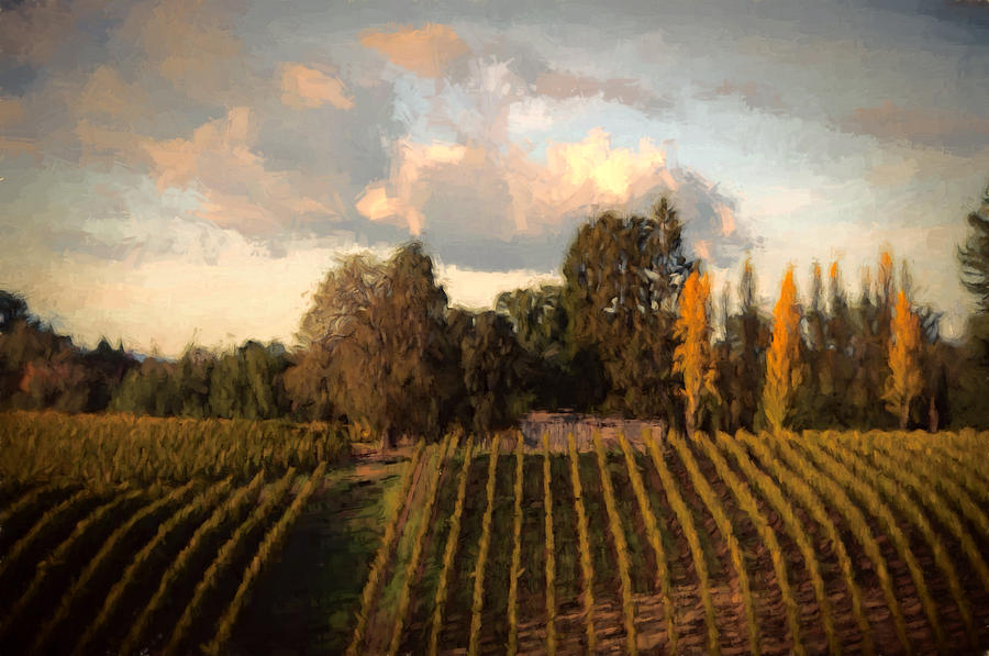 Grape Digital Art - Peaceful Vines by John K Woodruff