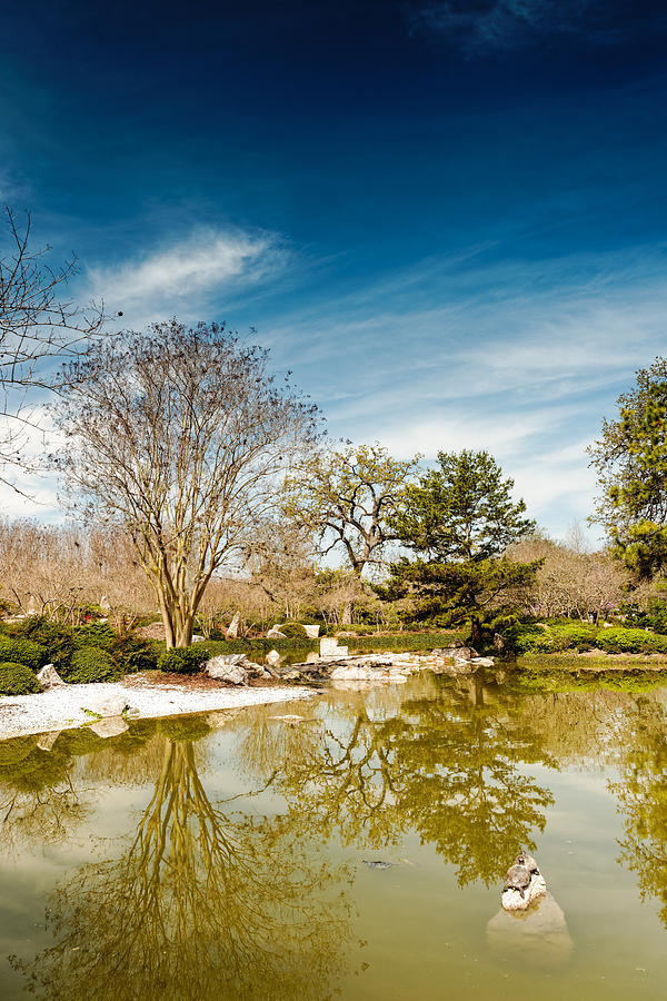 Peaceful Scene At The Houston Japanese Garden Hermann Park