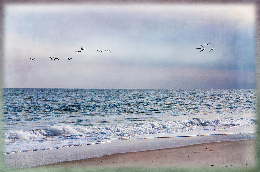 Peaceful Shore Photograph by Cathy Kovarik