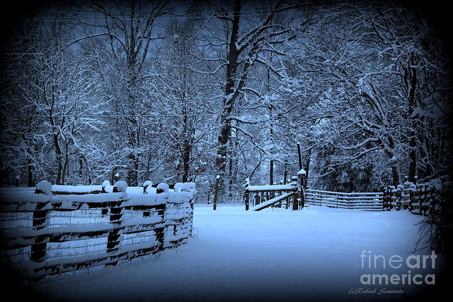 Peaceful Snowy Morning Photograph by Rabiah Seminole