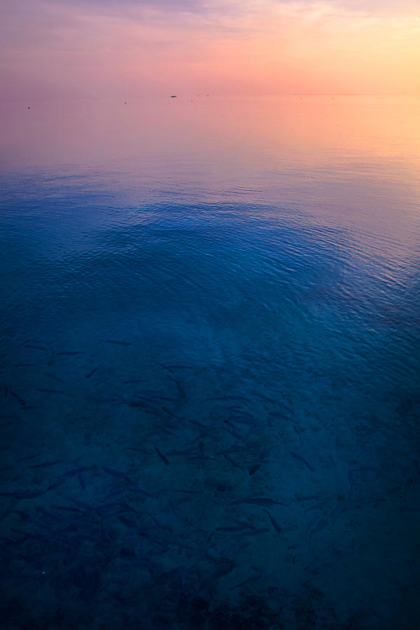 Peaceful Sunrise Photograph by Jenny Rainbow