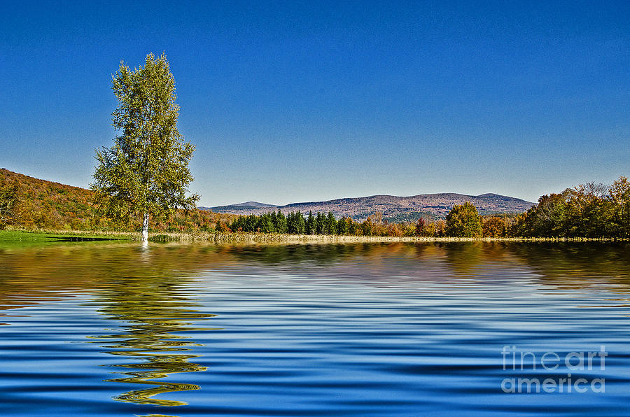 Peaceful View Photograph by Zbigniew Krol - Fine Art America