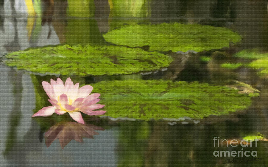 Peaceful Water Lily Pond Painting by Elizabeth Alexander