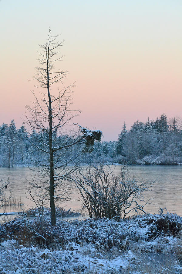 Peaceful Winters Morn Photograph by Beth Sawickie