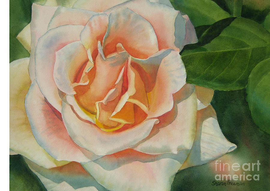 Peach and Gold Colored Rose Painting by Sharon Freeman