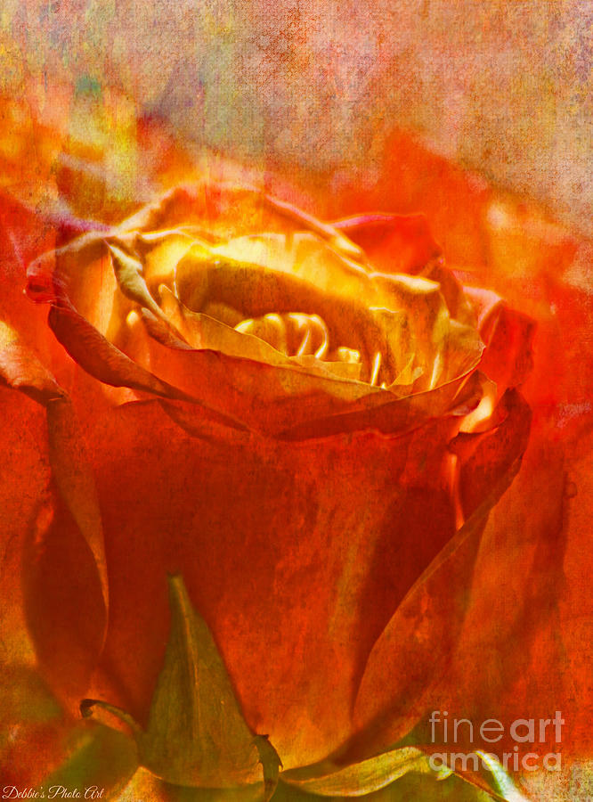 Peach and Yellow Rose - Digital Paint #2 Photograph by Debbie Portwood