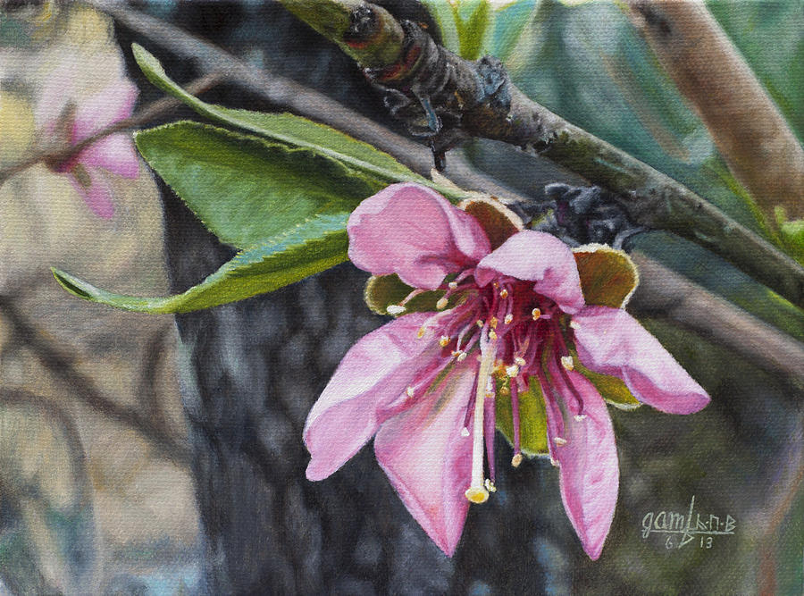 Peach Blossom Painting by Joshua Martin