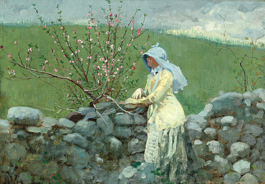 Peach Blossoms Painting by Winslow Homer