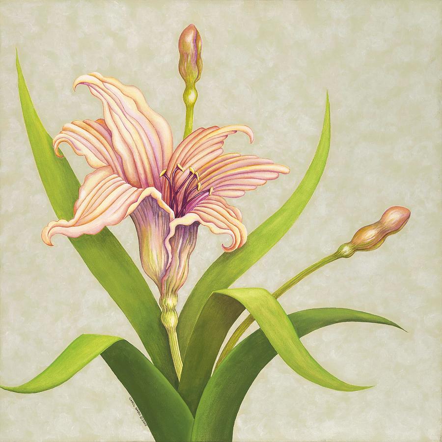 Peach Lily Painting by Carol Sabo