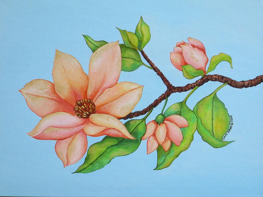 Peach Magnolias Painting by Carol Sabo