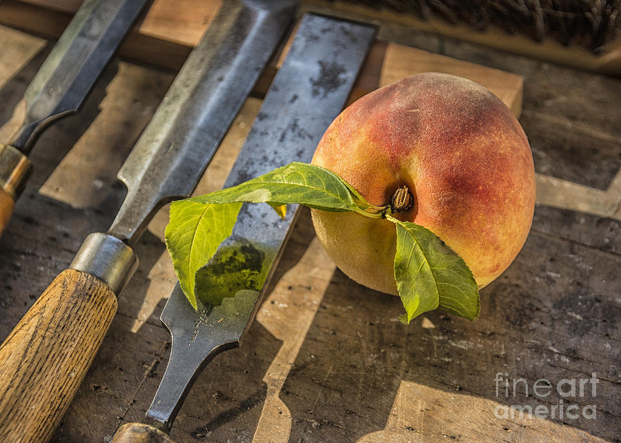 Peach on a Workbench Photograph by Terry Rowe