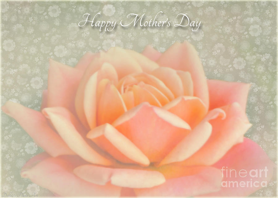 Peach Perfection Rose Mothers Day Photograph by Debbie Portwood