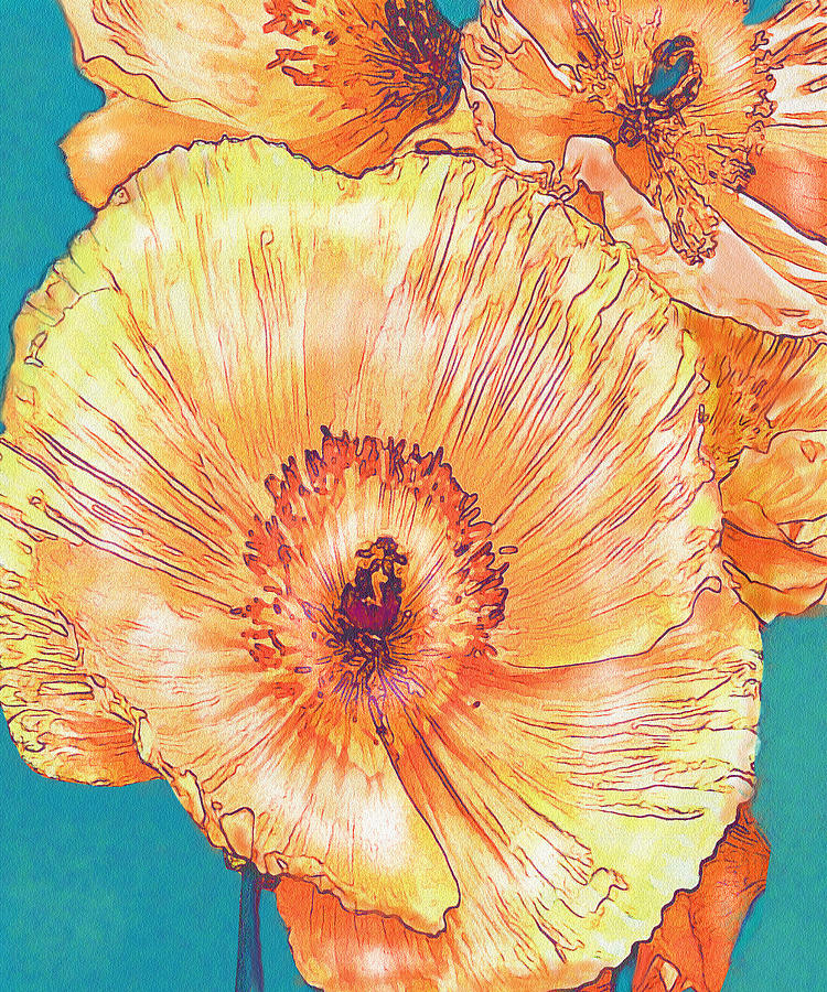 Peach Poppies Digital Art by Jane Schnetlage
