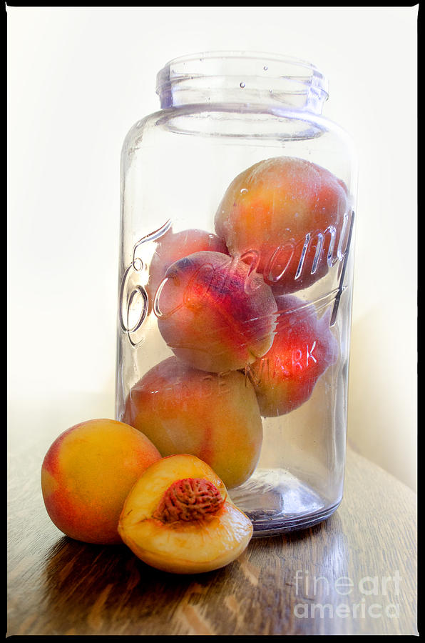 Peach Preserves Coming Up Photograph by Norma Warden