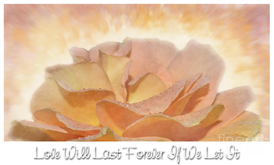 Peach Rose - Forever Love Photograph by Debbie Portwood
