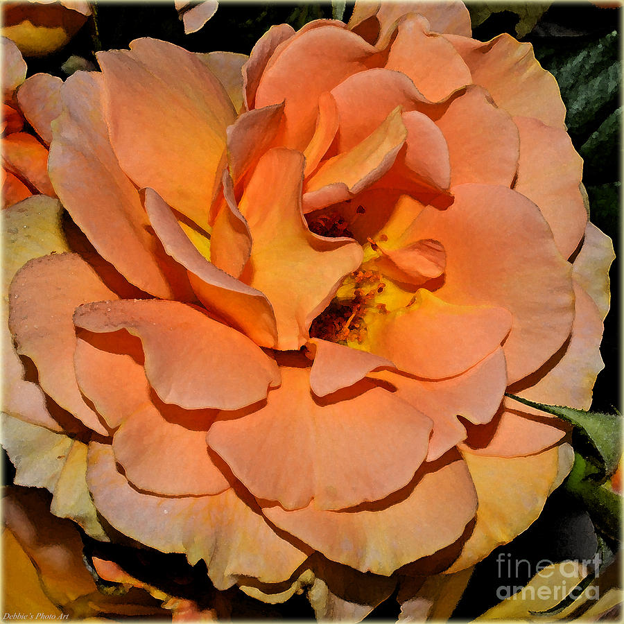 Peach Rose - Digital Paint Photograph by Debbie Portwood