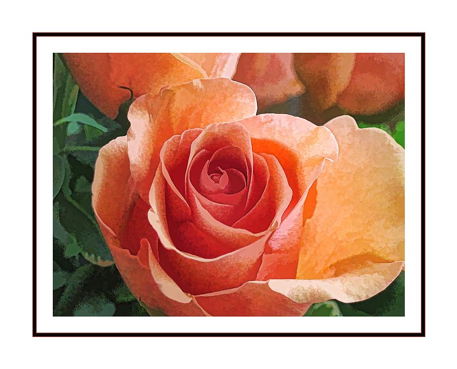 Peach Rose Digital Art by Doug Morgan