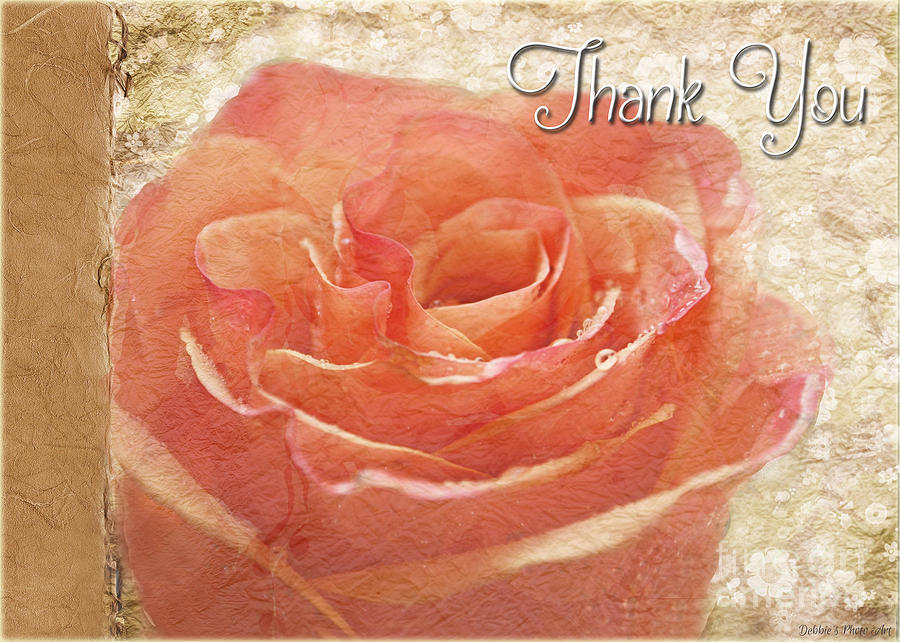 Peach Rose Thank you card Photograph by Debbie Portwood