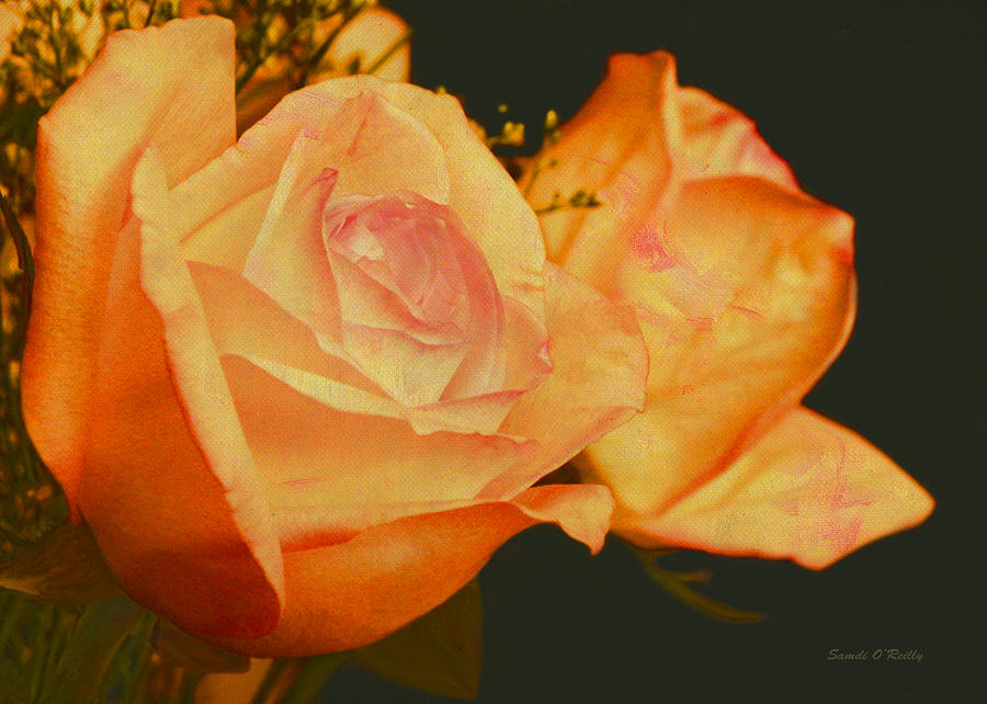 Peach Roses  Painting by Sandi OReilly