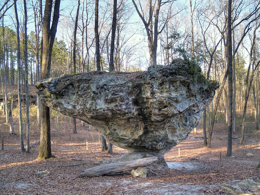 Peach Tree Rock Photograph by Charles Hite