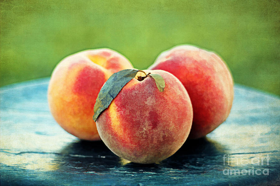 Nature Photograph - Peach Trio by Darren Fisher