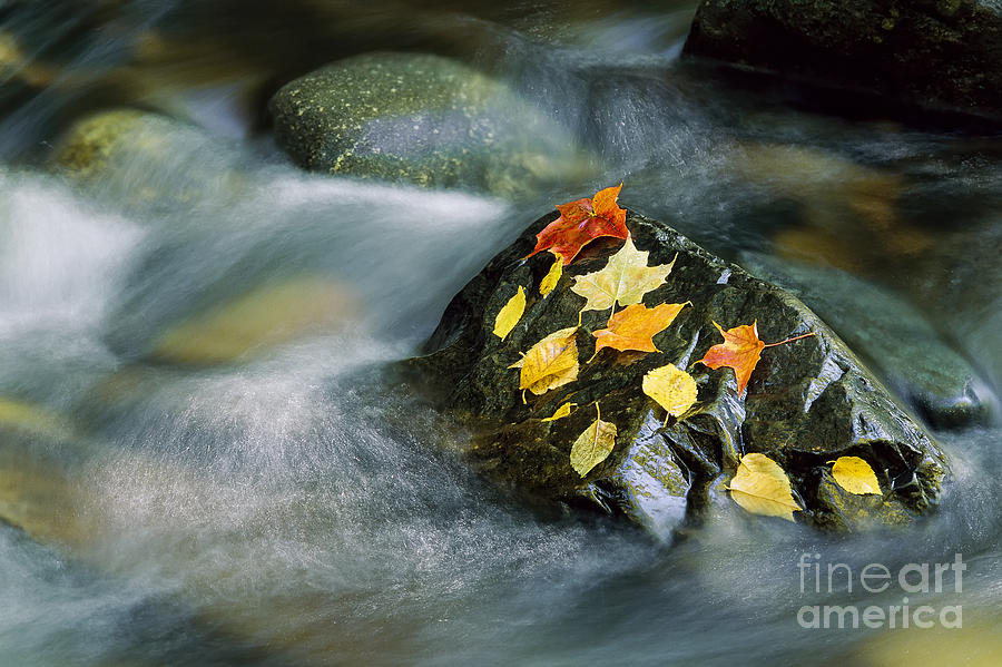 Fall Photograph - Peacham Brook In Fall by Alan L Graham