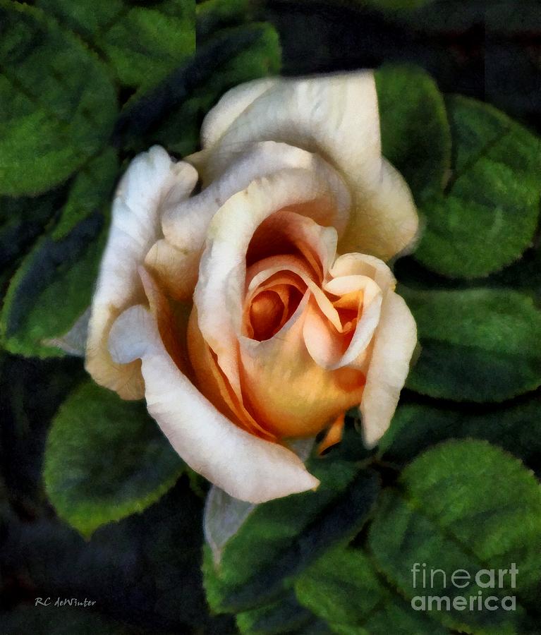 Peaches and Cream Painting by RC DeWinter