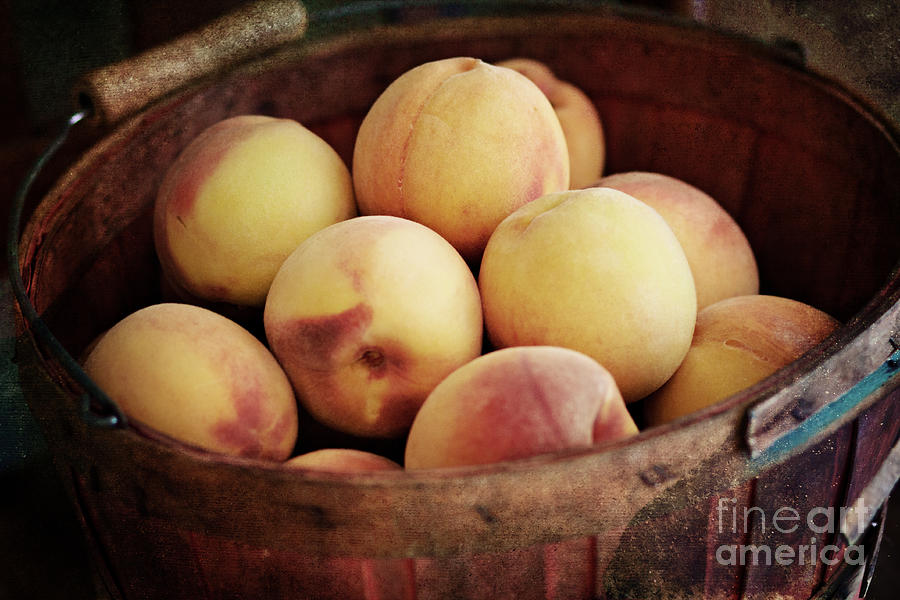 Peaches in a Basket Photograph by Pam  Holdsworth