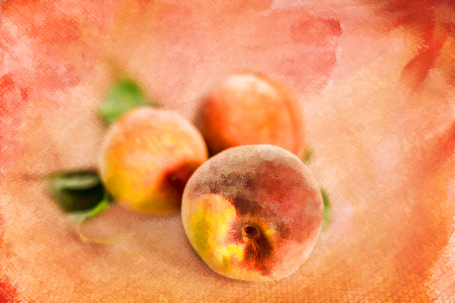 Peachy Photograph by Mary Timman