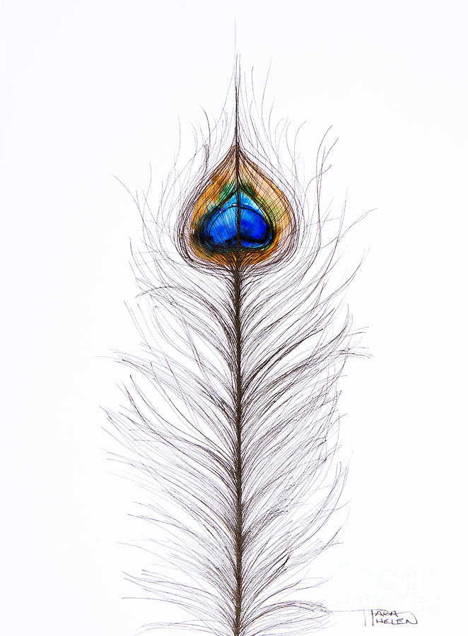 Peacock Abstract Painting by Tara Thelen