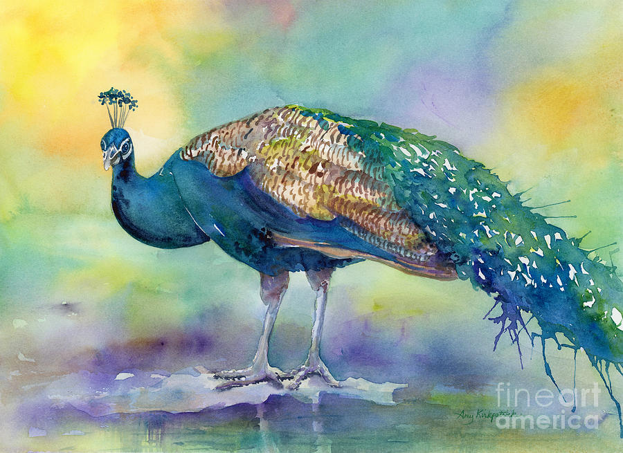 Peacock Painting - Peacock by Amy Kirkpatrick