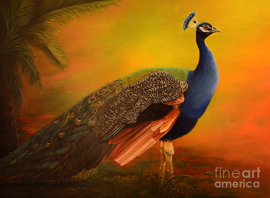 Peacock Painting - Peacock at sunrise by Zina Stromberg