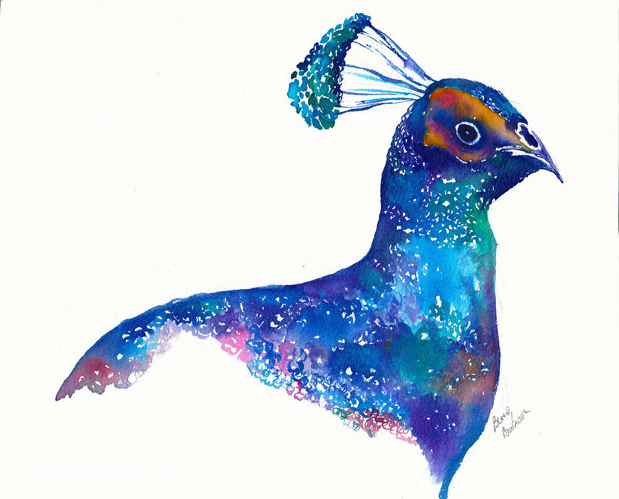 Peacock Painting - Peacock by Beverly Bronson