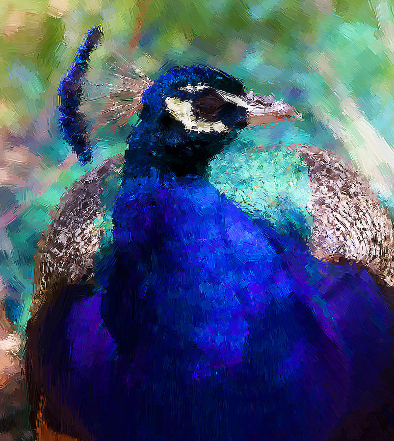 Peacock Blue Photograph by Alice Gipson