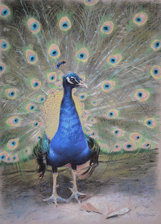 Peacock Painting by Christopher Reid