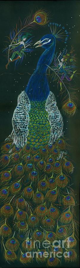 Peacock Drawing - Peacock Dearest by Dawn Fairies
