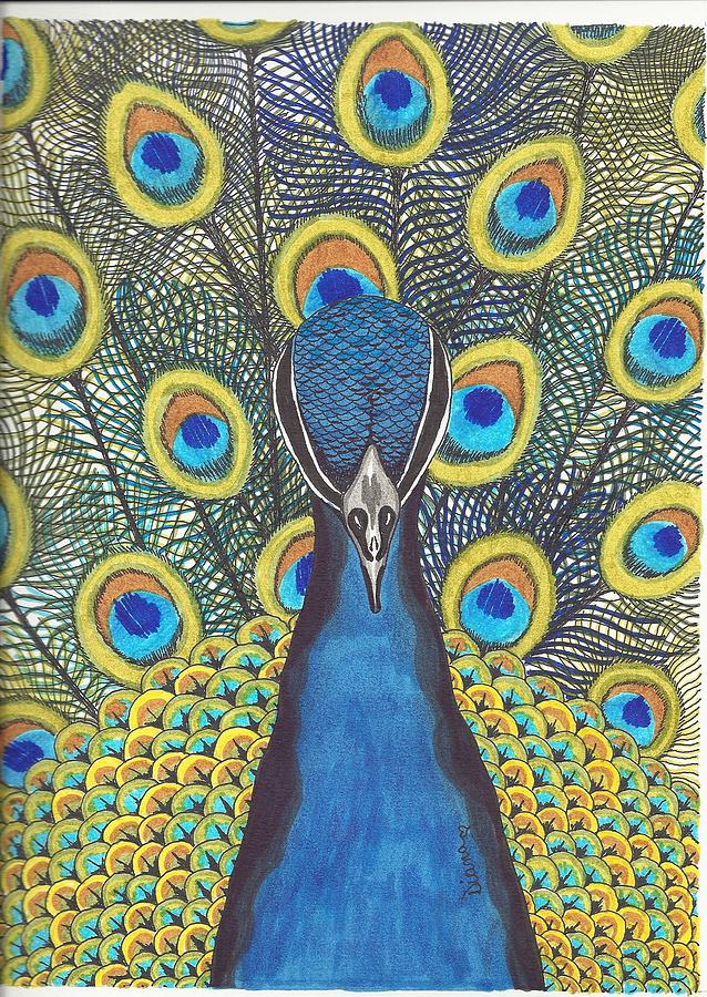 Peacock Drawing By Diane Pugh Fine Art America