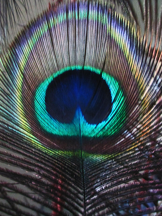 Peacock Eye Photograph by Randall Weidner