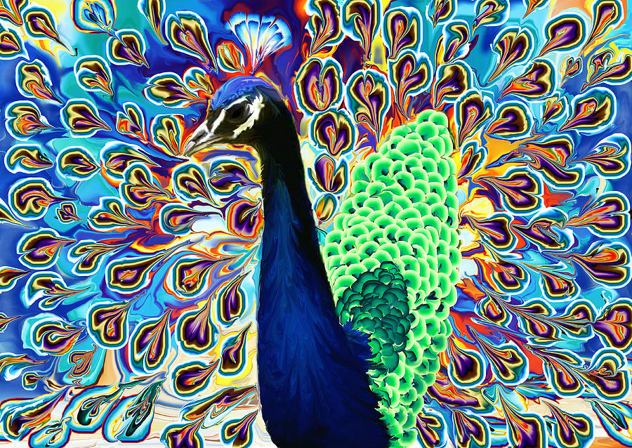 Peacock niki Niki peacock