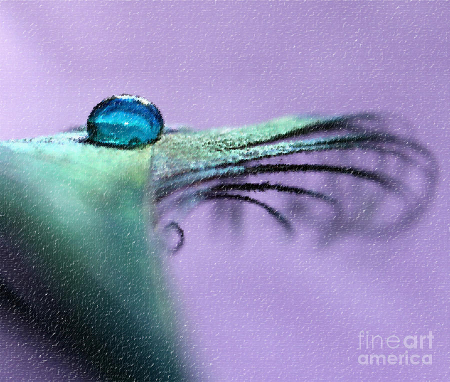 Peacock Feather Canvas Photograph by Krissy Katsimbras